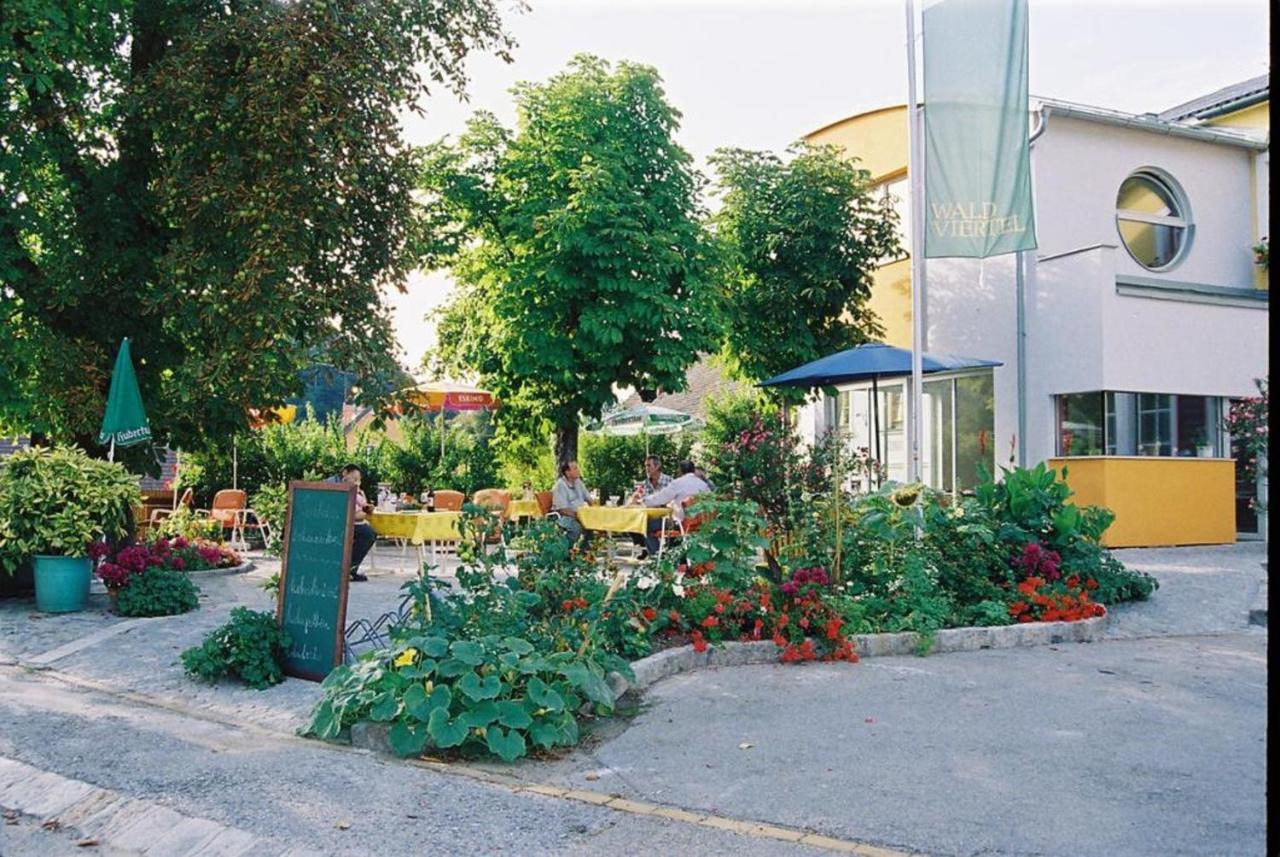 Hotel Gasthof Pension „Zur Hammerschmiede“ Drosendorf Stadt Exteriér fotografie